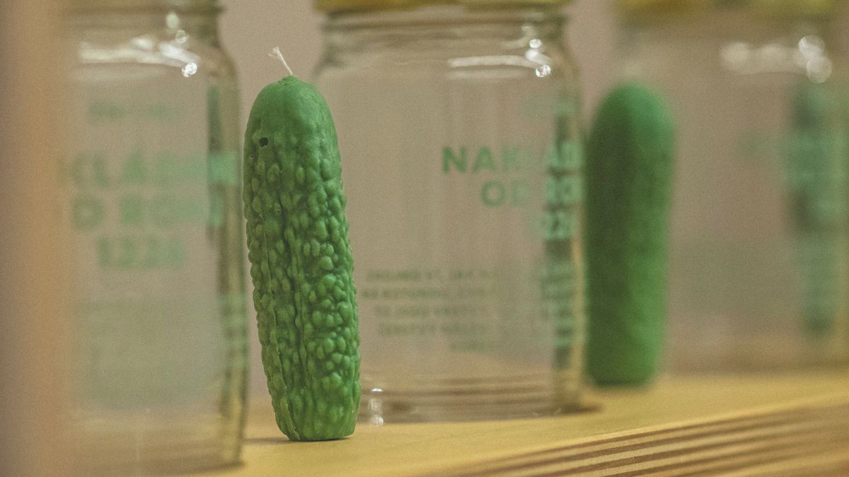 Znojmo při oslavách kulatých narozenin vzdá hold svému symbolu. Okurka nakládačka bude všude